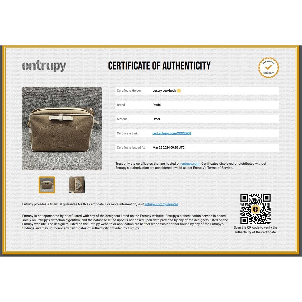 Prada Khaki Canvas Camera Crossbody Bag