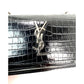 Saint Laurent Black Leather Sunset Wallet on a Chain Crocodile Embossed Bag