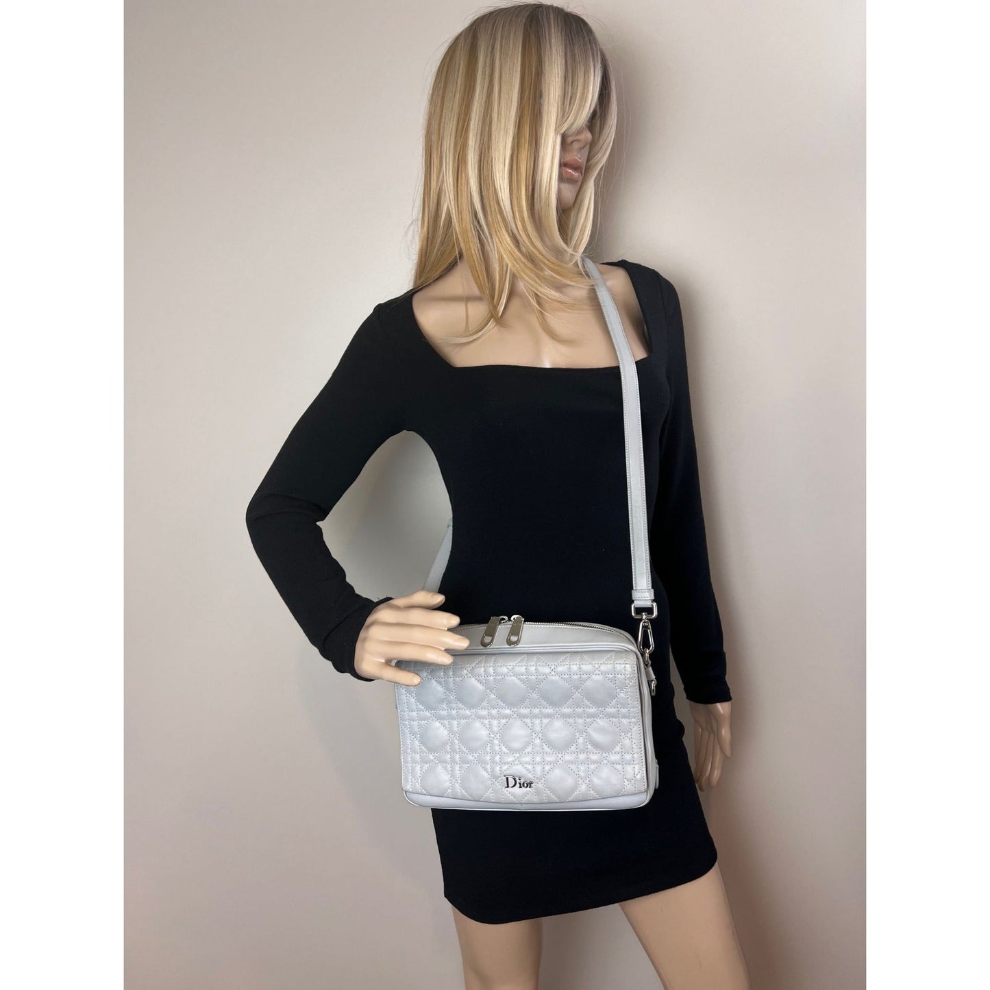 Christian Dior Lambskin Cannage Stardust Small Camera Crossbody Bag