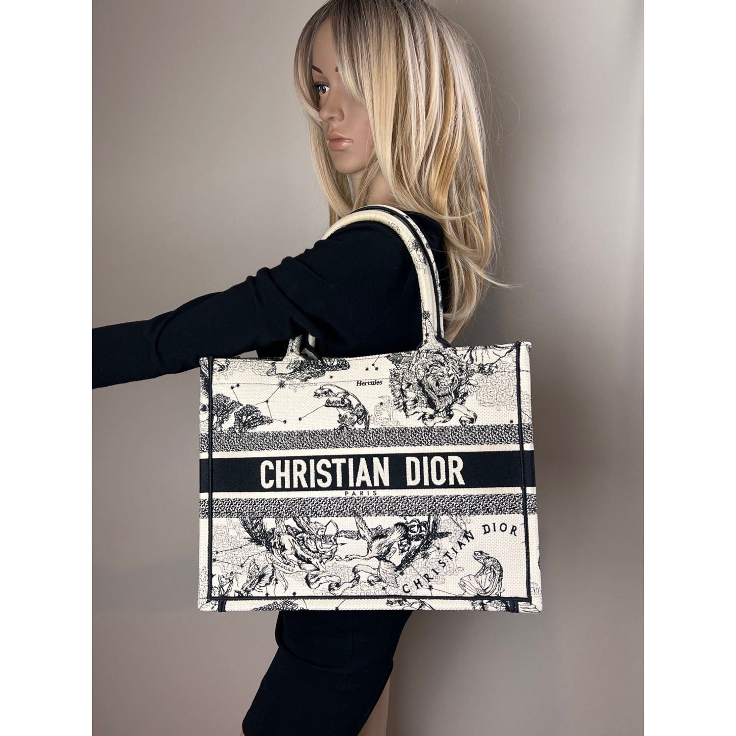 Christian Dior Book Embroidered Canvas Medium Stars and Signs Black Tote